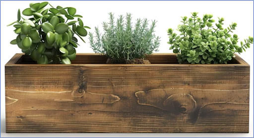 Three plants in a wooden box